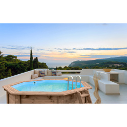Tropical Sunshine Above Ground Pool